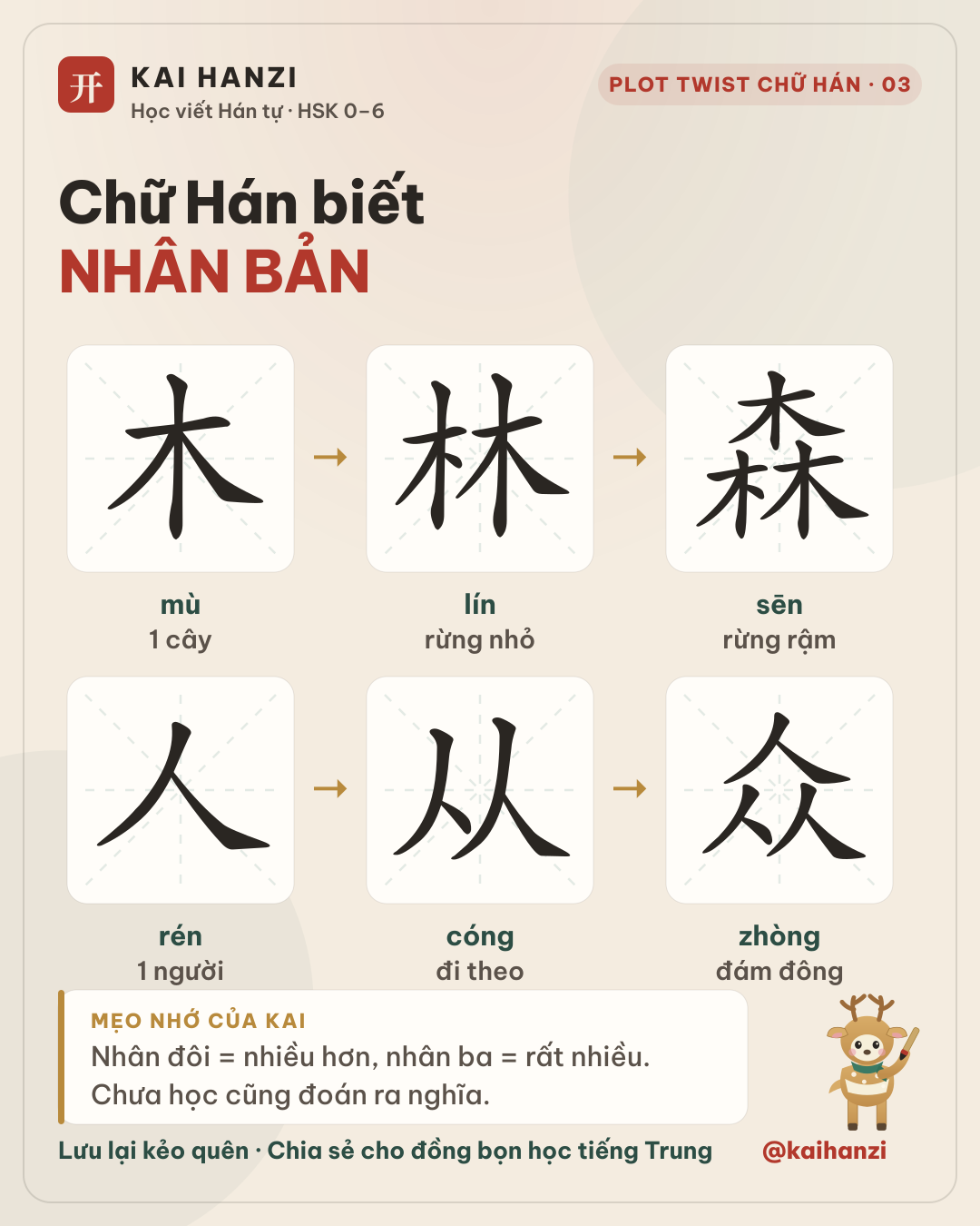 P03 nhân bản